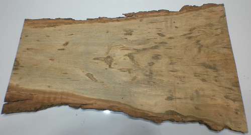 Walnut big slab cut 150year - walnut,