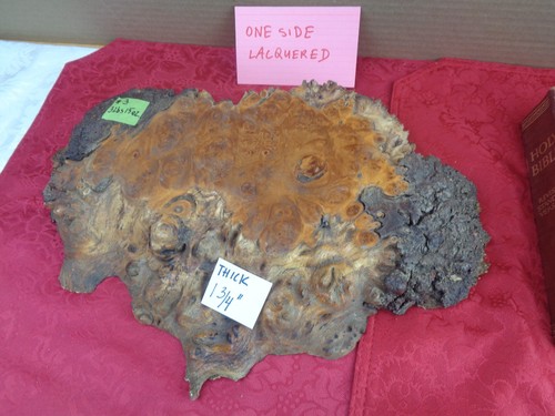 Burlwood tree slice - slice, #3